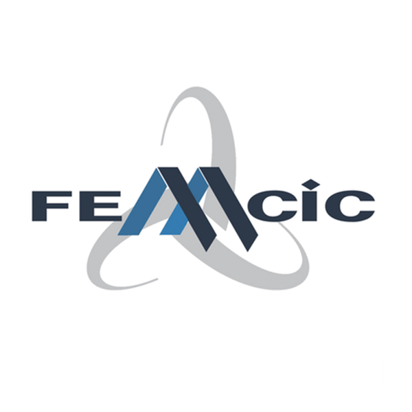 FEMCIC